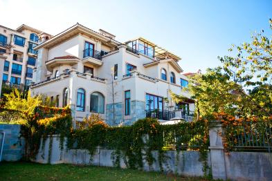 1576512453000_394X262_2