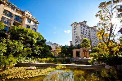 1576512453880_394X262_2